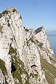 Gibraltar 